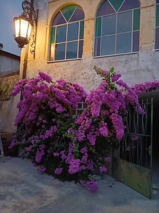 Corte Averaldo San Felice del Benaco Exterior foto